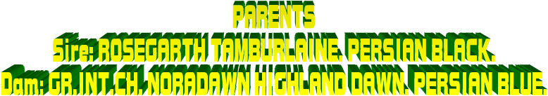 PARENTS
Sire: ROSEGARTH TAMBURLAINE. PERSIAN BLACK.
Dam: GR.INT.CH. NORADAWN HIGHLAND DAWN. PERSIAN BLUE.