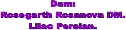 Dam:
Rosegarth Rosanova DM.
Lilac Persian.