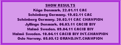 Tekstboks: SHOW RESULTSKge Denmark. 22.01.11 CACSchnberg Germany. 19.02.11 CACSchnberg Germany. 20.02.11 CAC CHAMPIONJyllinge Denmark. 06.03.11 CACIB BIVMalm Sweden. 09.04.11 CACIB BIVMalm Sweden. 10.04.11 CACIB BIV INT.CHAMPIONOslo Norway. 05.05.12 GRAND.INT.CHAMPION