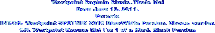 Westpoint Captain Clovis..Thats Me!
Born June 15. 2011.
Parents
INT.CH. Westpoint SPUTNIK 2010 Blue/White Persian. Choco. carrier.
CH. Westpoint Excuse Me! I`m 1 of a Kind. Black Persian