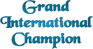 Grand
International
Champion