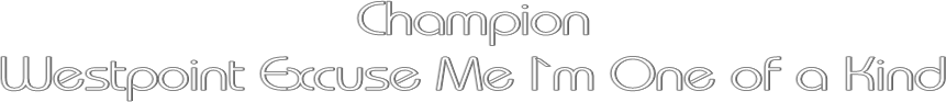 Champion
Westpoint Excuse Me I`m One of a Kind