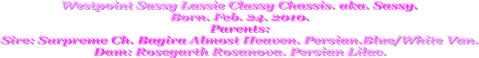Westpoint Sassy Lassie Classy Chassis. aka. Sassy.
Born. Feb. 24. 2010.
Parents:
Sire: Surpreme Ch. Bagira Almost Heaven. Persian.Blue/White Van.
Dam: Rosegarth Rosanova. Persian Lilac.
