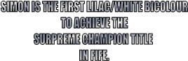 SIMON IS THE FIRST LILAC/WHITE BICOLOUR
TO ACHIEVE THE
SURPREME CHAMPION TITLE 
IN FIFE.