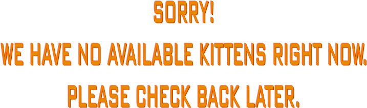 SORRY!
WE HAVE NO AVAILABLE KITTENS RIGHT NOW.
PLEASE CHECK BACK LATER.
