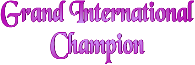 Grand International
Champion