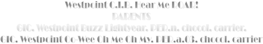 Westpoint C.I.B. Hear Me ROAR!
PARENTS
GIC. Westpoint Buzz Lightyear. PER.n. chocol. carrier.
GIC. Westpoint Oo-Wee Oh Me Oh My. PER.a.03. chocol. carrier